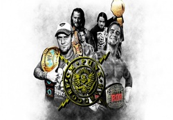 CM Punk title holder in every organization