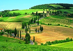 Toscana (Tuscan road)_Italy