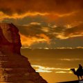 Sphinx at sunset