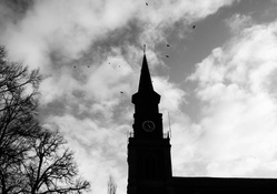 birds flying over church steeple
