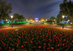 Disney Park