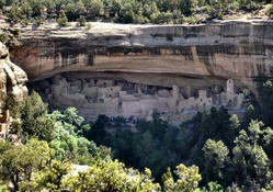 The Cliff Palace at Mesa Verde