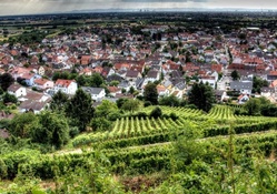 rural town surrounded by fields hdr