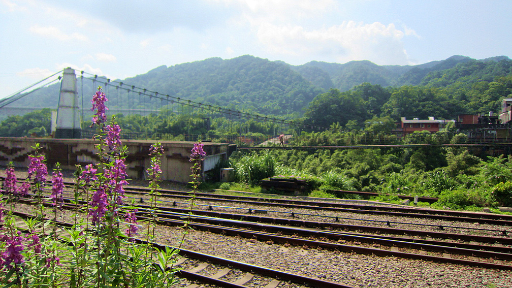 Railway and suspension bridge