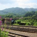 Railway and suspension bridge