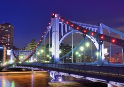 wonderful bridge in tokyo