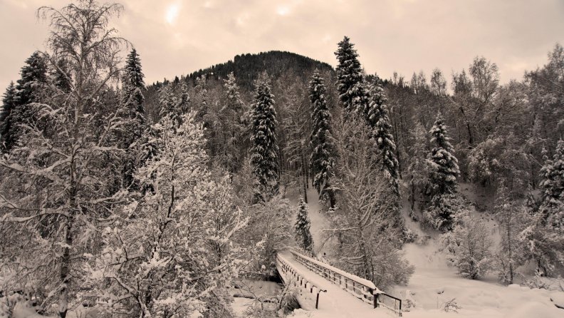 bridge in a winter scene in monochrome