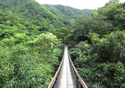 Suspension bridge in the mountain
