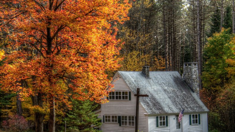 lovely american cottage in a forest hdr