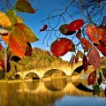 Autumn colors at Cumberland falls bridge