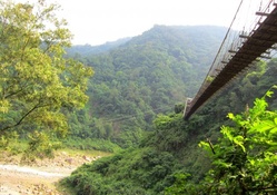 Suspension bridge in the Valley