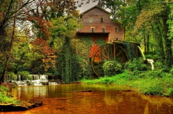 Old forest mill