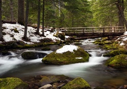 Cold Spring Creek, California