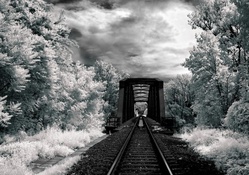 wondrous railway bridge