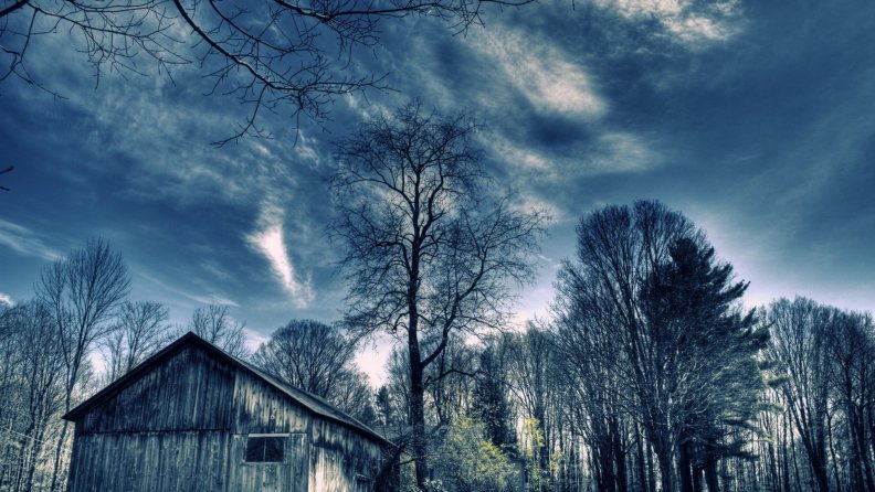 barn in a forest in blue hue