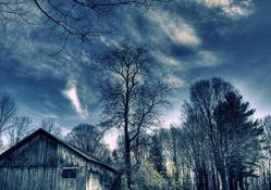 barn in a forest in blue hue