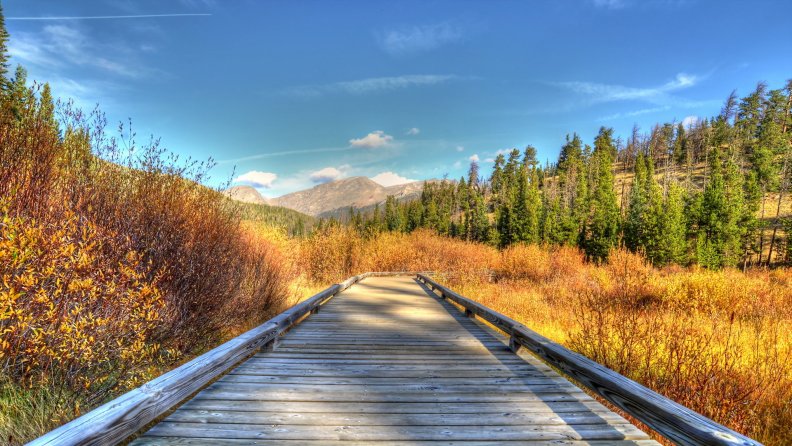 wonderful bridge over valley wetlands in autumn hdr