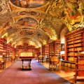 THE MAGIC LIBRARY