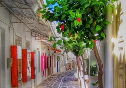 Paros Island  ~ Greece