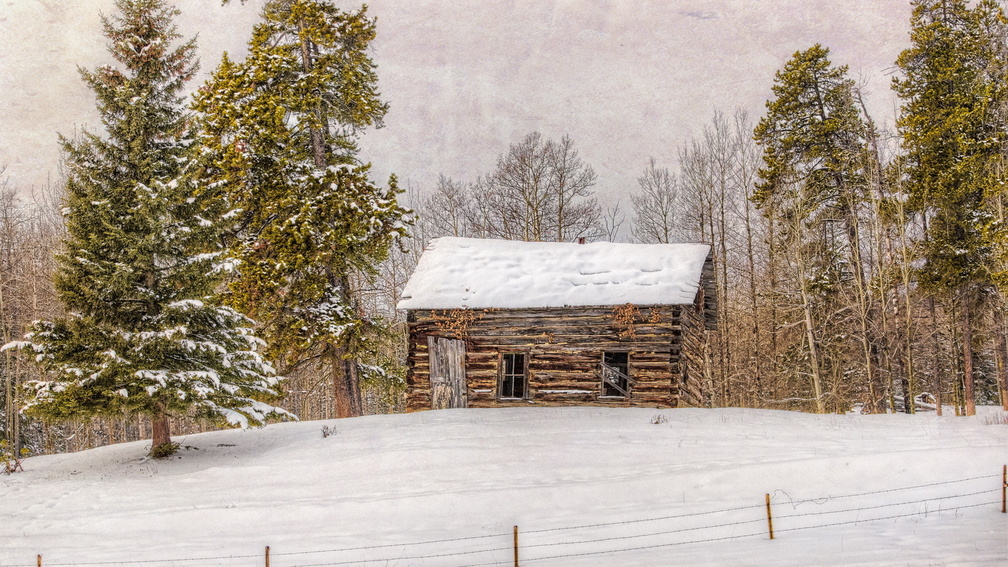 abandoned log cabin in winter