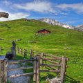 wooden cabins on the mountains in summer