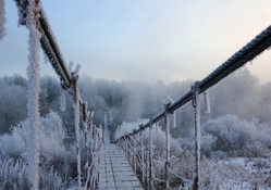 frozen suspension bridge