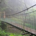  Misty Suspension bridge