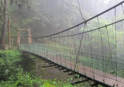  Misty Suspension bridge