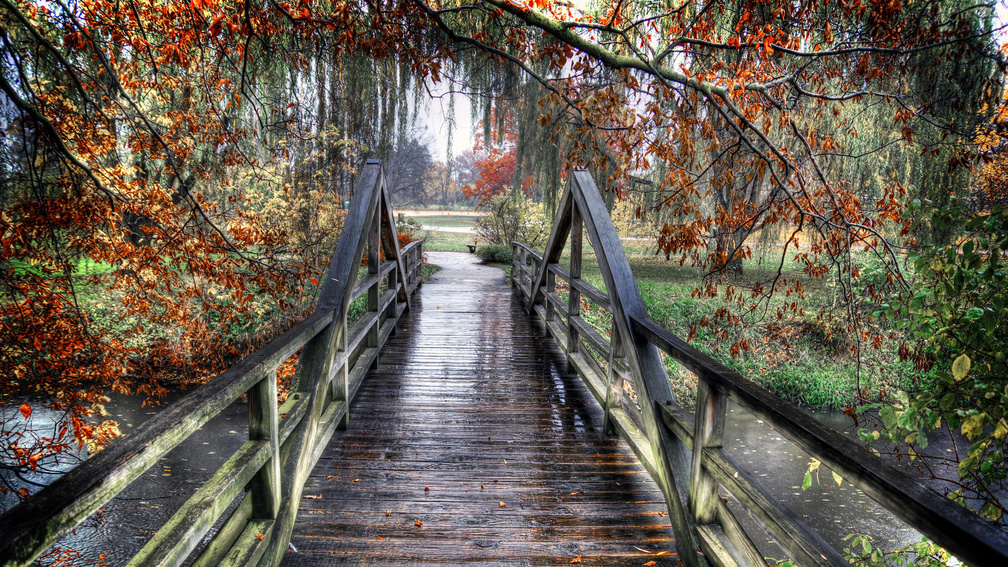 lovely wooden bridge on a rainy autumn day