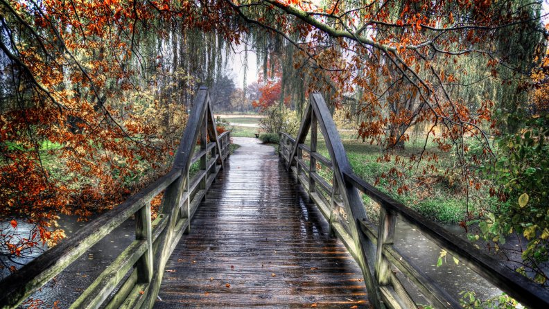 lovely_wooden_bridge_on_a_rainy_autumn_day.jpg