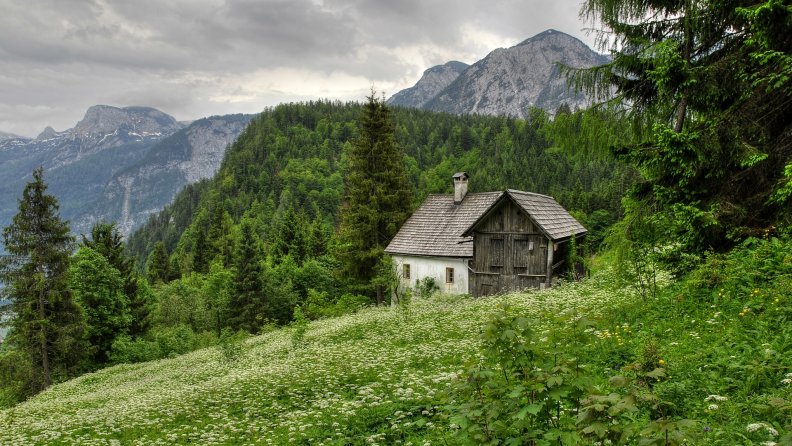 lovely_cabin_in_austrian_mountains.jpg