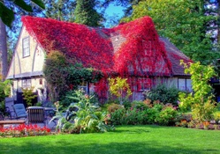 fantastic red vine covered country home hdr