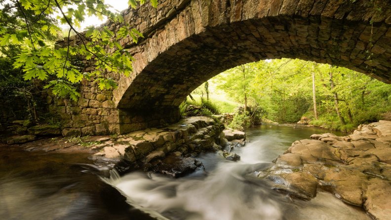 forest_stream_under_stone_arch_bridge.jpg