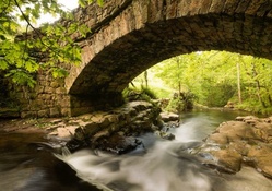 forest stream under stone arch bridge