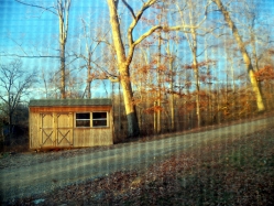 Shed By The Road