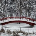 Bridge in Snow