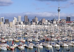Auckland, New Zealand, marina