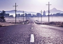 violet highway