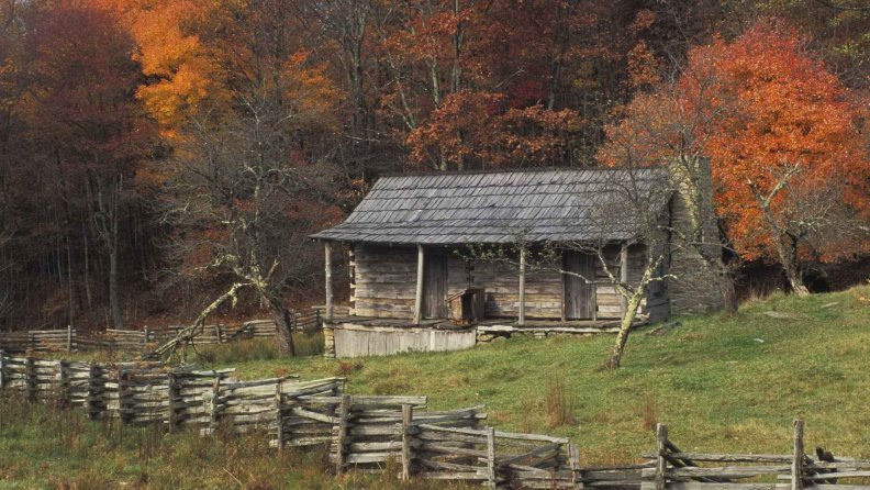 wooden_cabin_in_an_autumn_forest.jpg