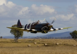 Spitfire MK26B