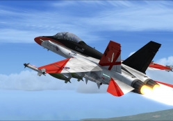 F_18D 