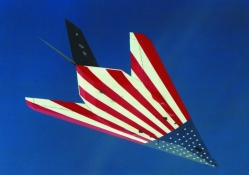NigntHawk USA Flag