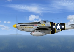 P_51 Mustang, Snooks
