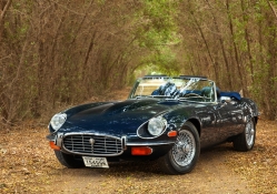 1972_Jaguar