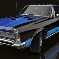Black and Blue GTO