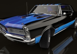 Black and Blue GTO