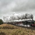 gorgeous steam train rolling through the countryside