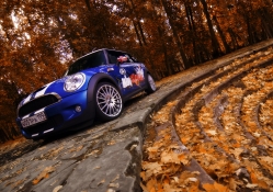 *** Car in autumn park ***