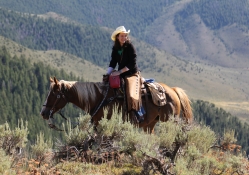 Colorado Cowgirl