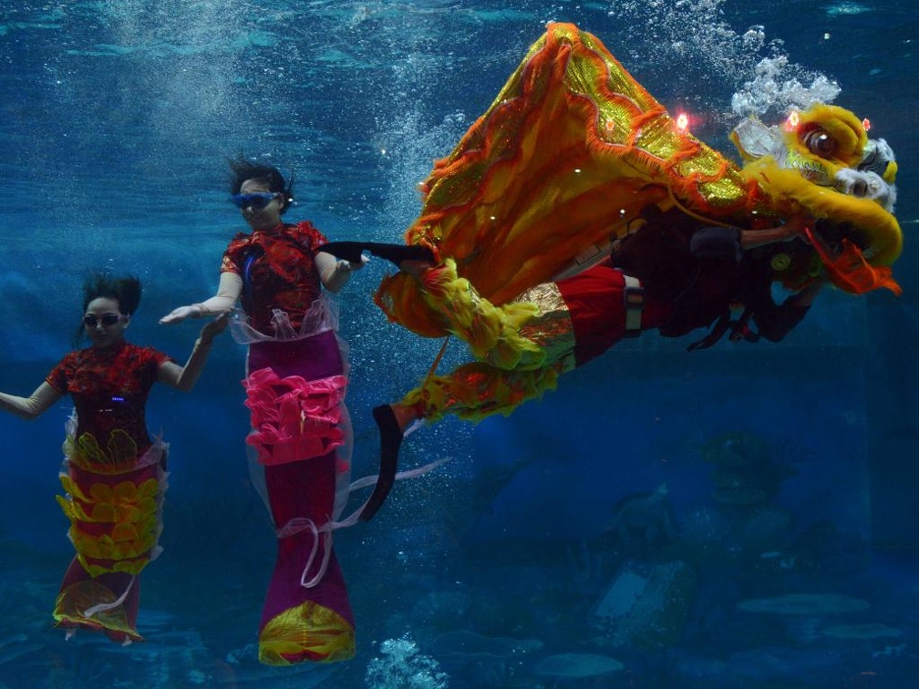 Underwater Show during Chinese New Year Jakarta Indonesia